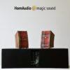 High-Fidelity Walnut SoRi2 Sound System Maceál by HornAudio