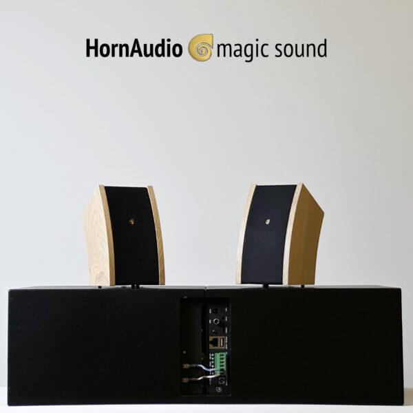 HornAudio SoRi2 Magic Sound System in Light Oak Finish