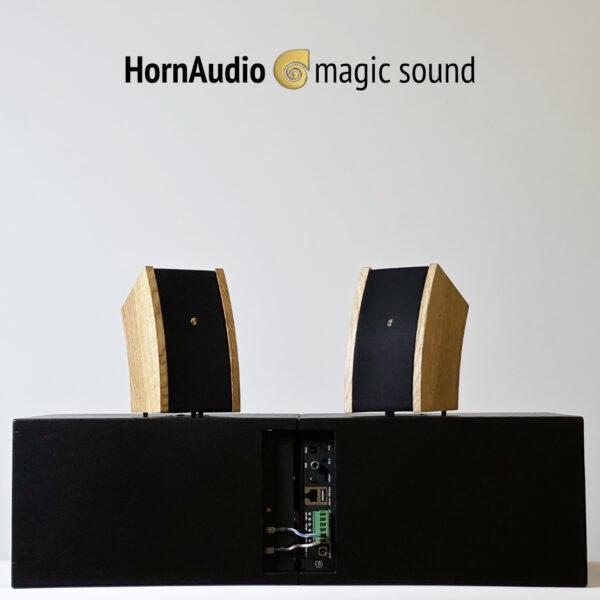 HornAudio Magic Sound System - SoRi2 Oak